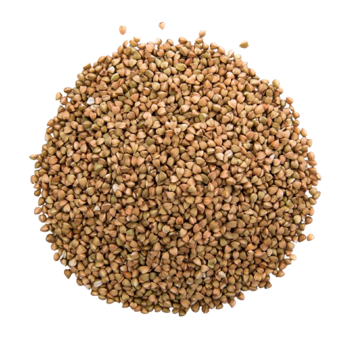 Fenugreek Seeds